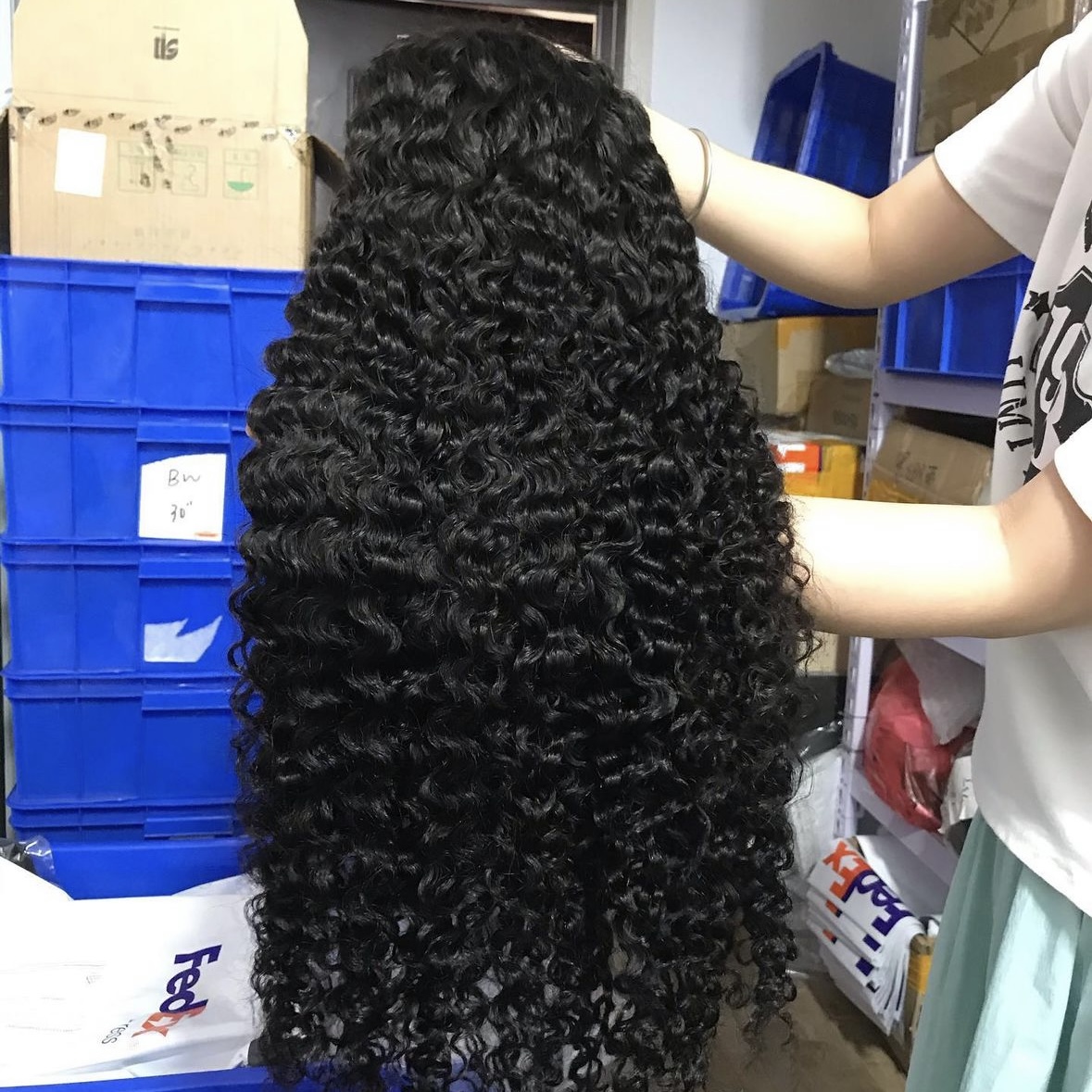 burmese curly