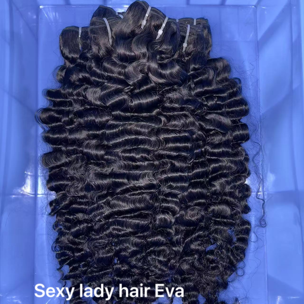 burmese curly